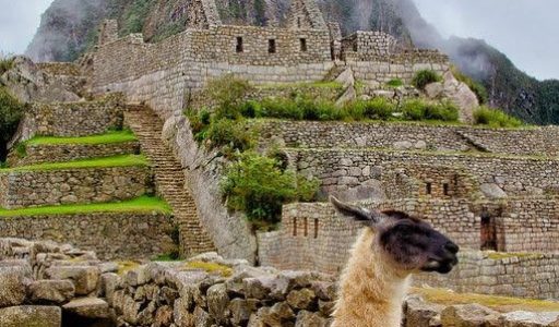 33b81e003cab77e2a04e0b10cff226d6