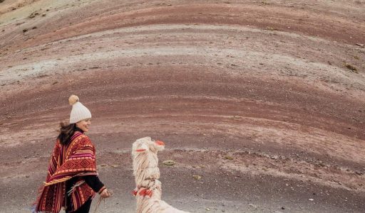 WhatsApp Image 2019-03-04 at 11.48.33