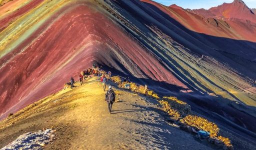 WhatsApp Image 2019-03-18 at 21.02.43