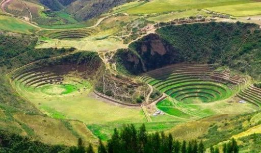 f09355aa2876698d28970e1d3d168781