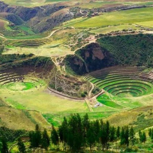 f09355aa2876698d28970e1d3d168781